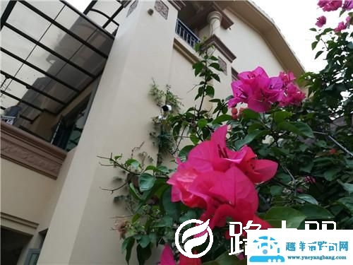 监控摄像头什么牌子好？