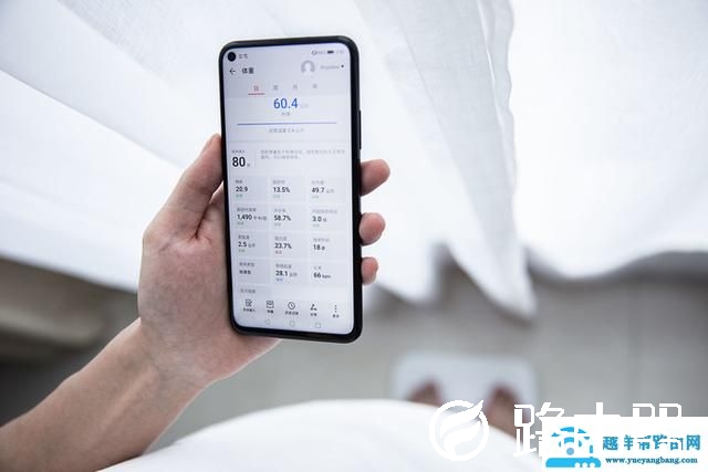 荣耀智能体脂秤WiFi版评测：17项身体指标 比你更懂你