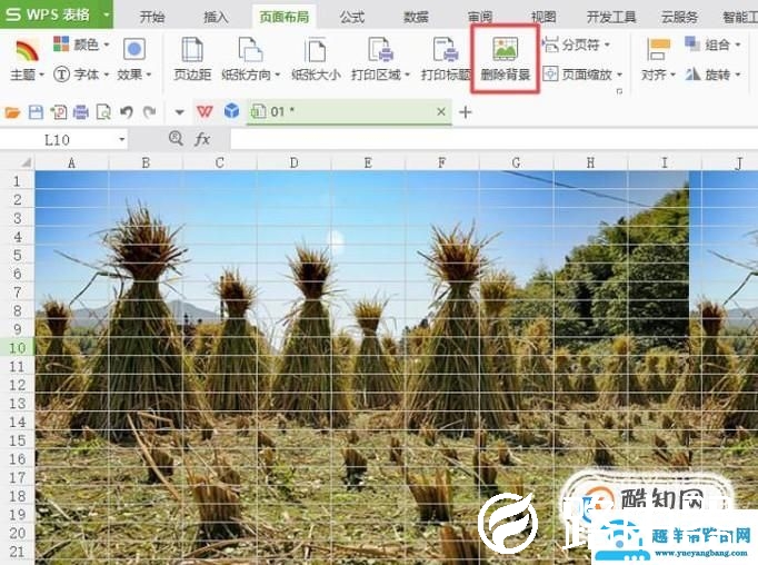 怎么样在wps中添加背景图和删除背景图？