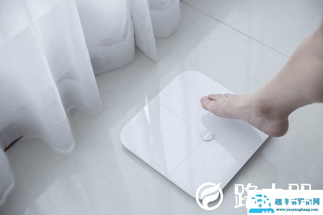 荣耀智能体脂秤WiFi版评测：17项身体指标 比你更懂你