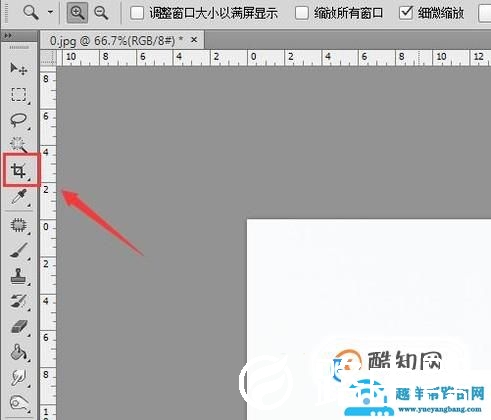 ps怎样裁剪图像