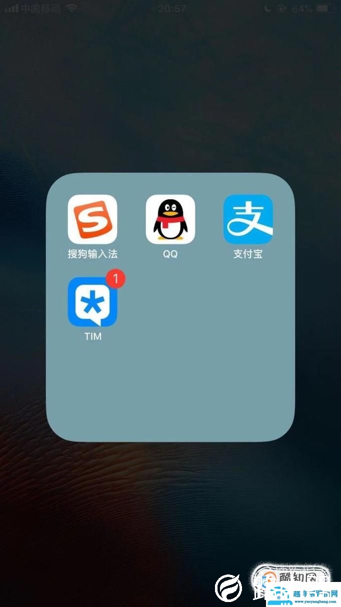 怎么查看支付宝蚂蚁会员等级及积分