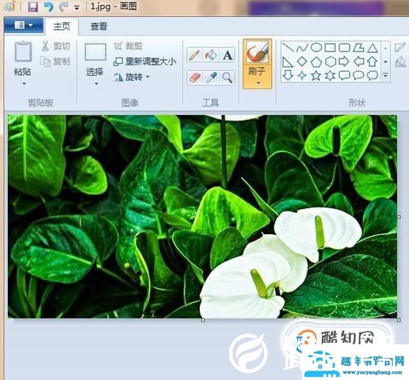 用画图工具将两张图片合成一张图片