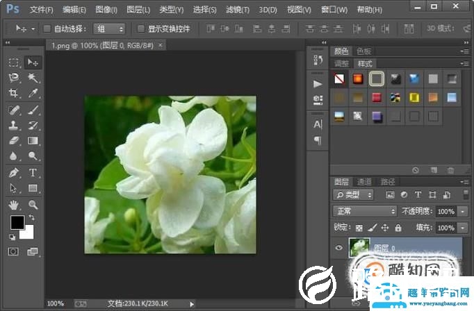 如何用PS作出工笔画效果？