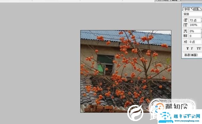 ps中的恢复操作：恢复一步或几步