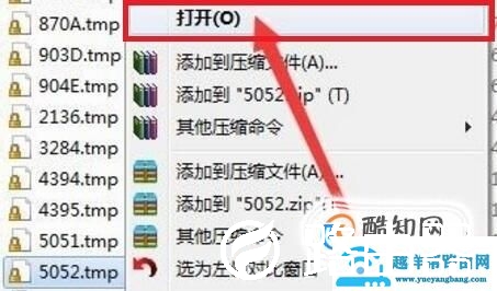 tmp格式文件怎么打开，tmp文件用什么软件打开