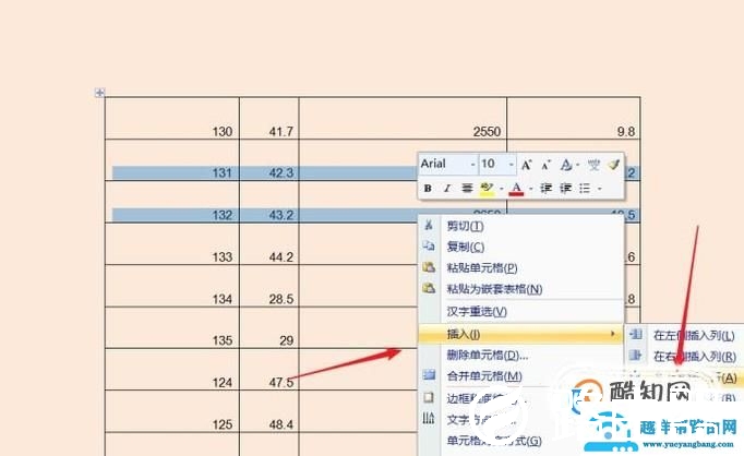 word中表格排版技巧