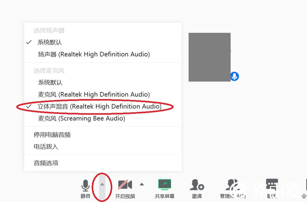 手机腾讯会议共享屏幕播放视频没声音