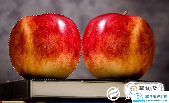 在线图片编辑器怎么制作镜像效果