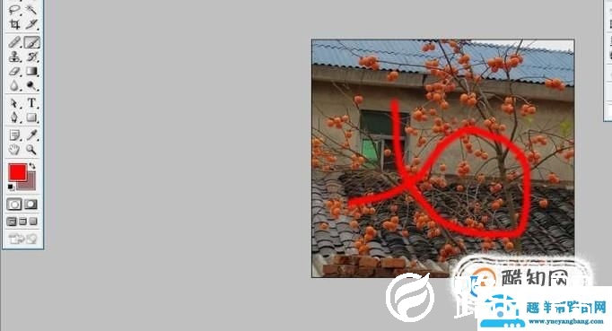 ps中的恢复操作：恢复一步或几步