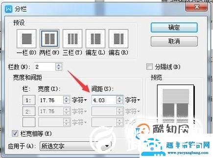 WPS文字怎么设置分栏并排版？
