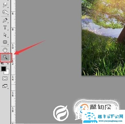怎么样用ps放大缩小图片