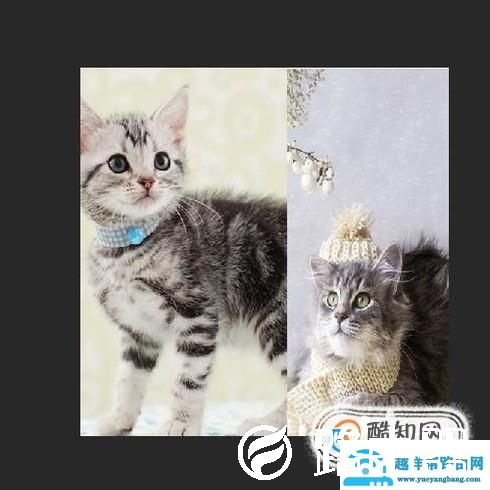 ps中怎么将图片合在一起？