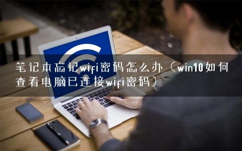 笔记本忘记wifi密码怎么办（win10如何查看电脑已连接wifi密码）