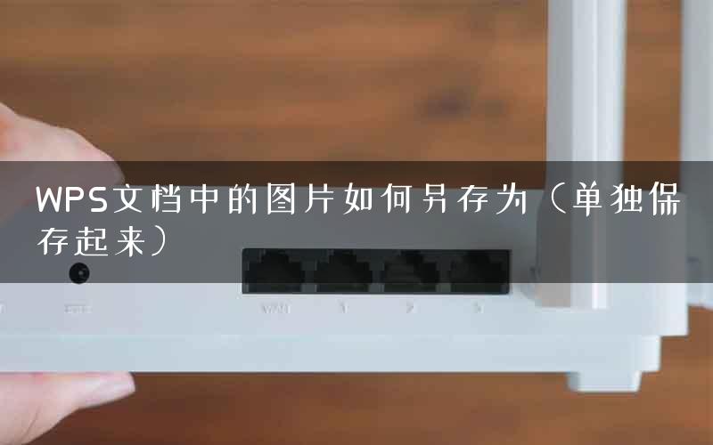 WPS文档中的图片如何另存为（单独保存起来）