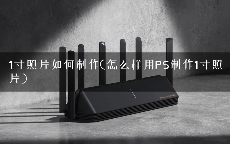 1寸照片如何制作(怎么样用PS制作1寸照片)
