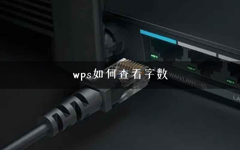 wps如何查看字数