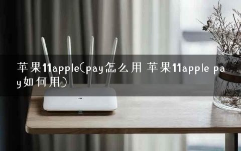 苹果11apple(pay怎么用 苹果11apple pay如何用)