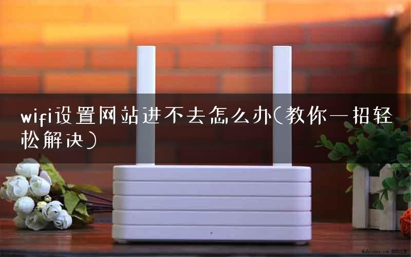 wifi设置网站进不去怎么办(教你一招轻松解决)