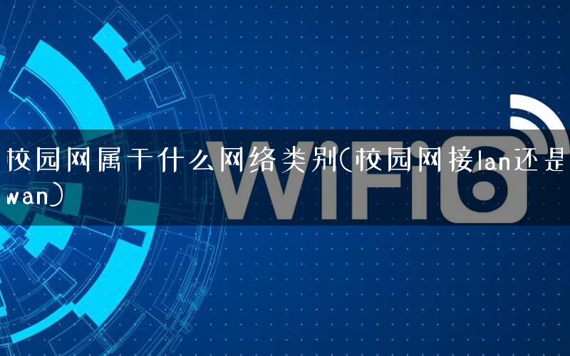 校园网属于什么网络类别(校园网接lan还是wan)