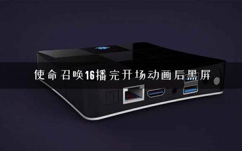 使命召唤16播完开场动画后黑屏