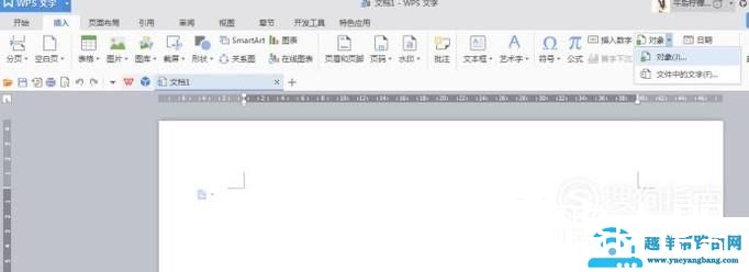 word如何插入文件对象