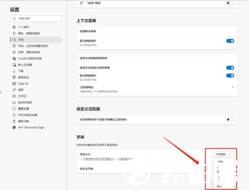 Microsoft Edge浏览器如何更改字体大小