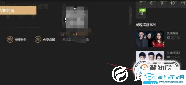 哪个视频播放器看热播电视剧不要vip