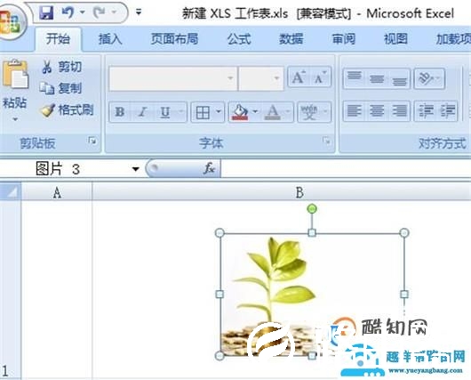 把图片插入到EXCEL的单元格中如何操作