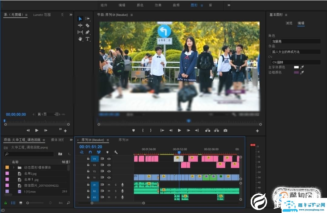 使用premiere时，怎么样把视频的原字幕去除？