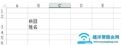 Excel中对一个单元格添加斜线并在斜线上下写字