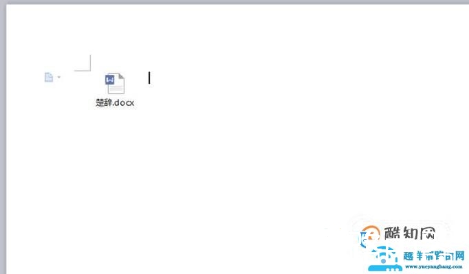 word如何插入文件对象
