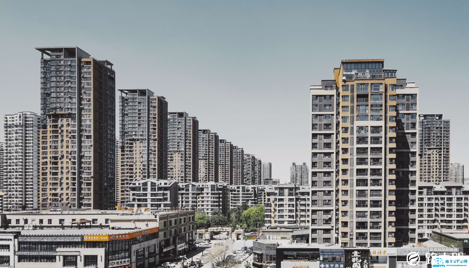 miui12拍照全新体验评测