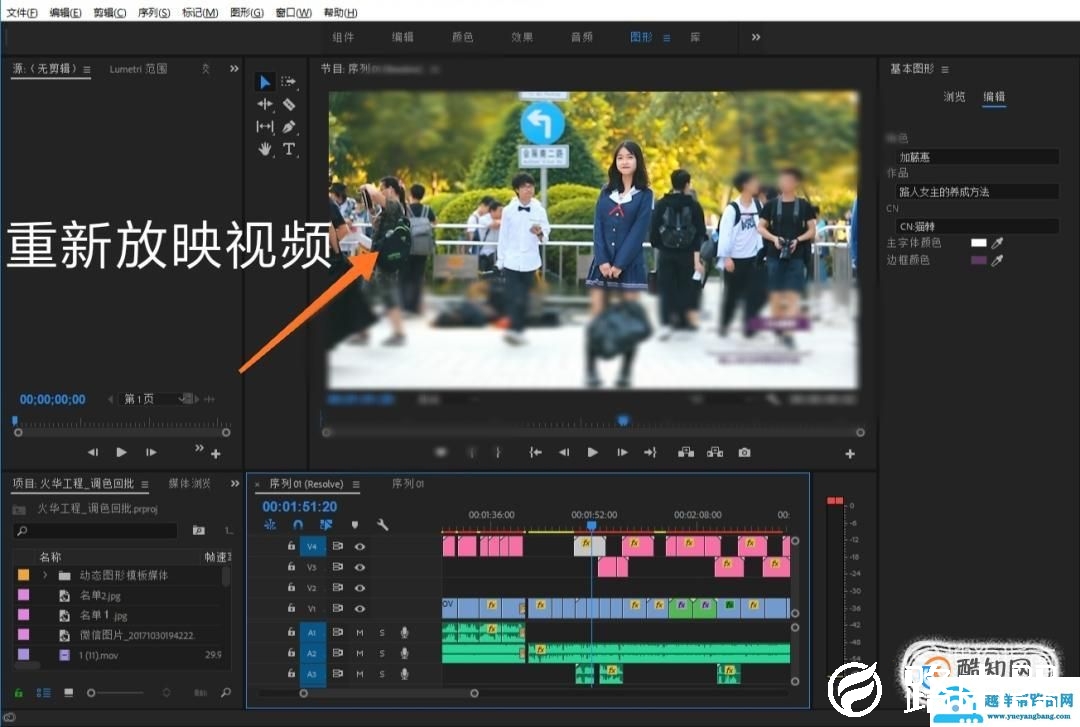 使用premiere时，怎么样把视频的原字幕去除？