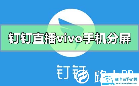 钉钉直播vivo手机怎么分屏