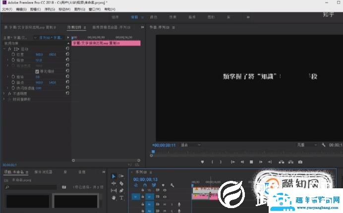 使用premiere时，怎么样把视频的原字幕去除？