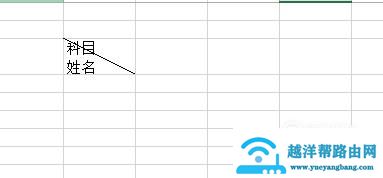 Excel中对一个单元格添加斜线并在斜线上下写字