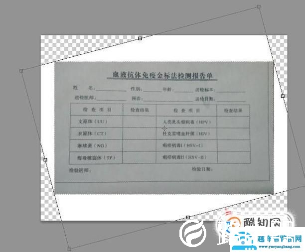 怎么用PS调正扫描斜了的图片，超简单3步搞定