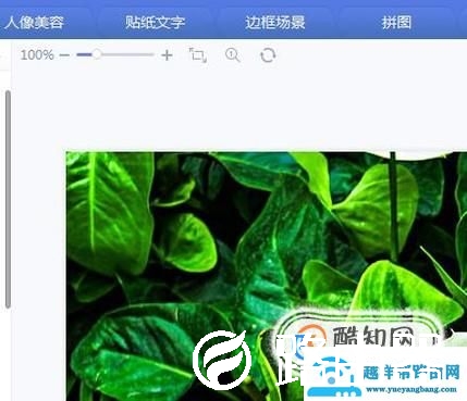 怎样用美图秀秀编辑文字