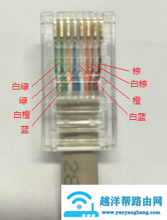 网线选购完全指南（知识科普，品牌推荐）