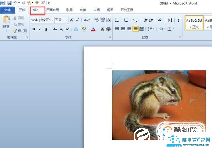 在word中怎样在图片上打字？