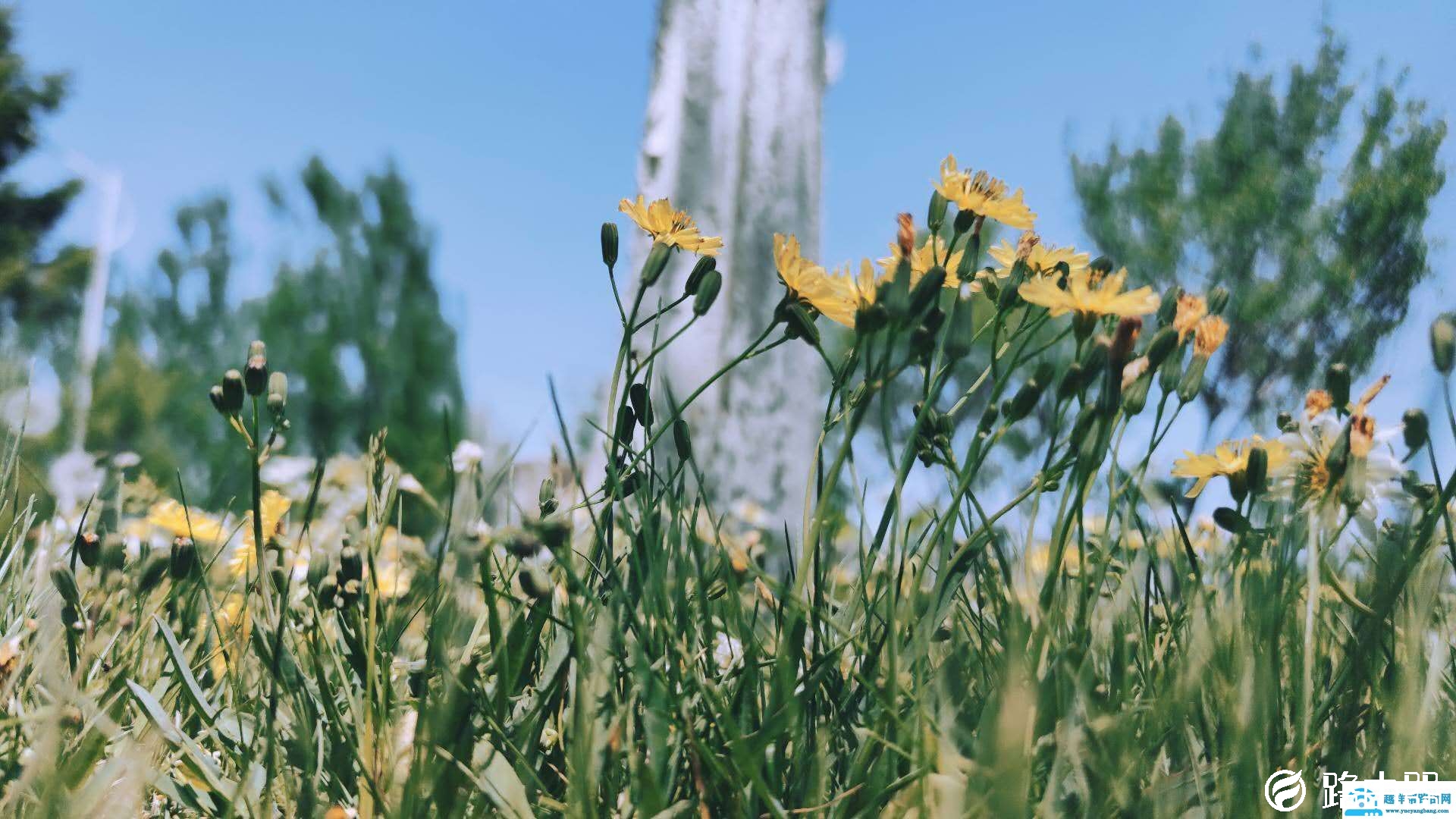 miui12拍照全新体验评测