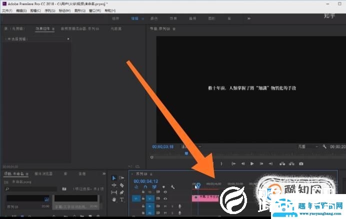 使用premiere时，怎么样把视频的原字幕去除？