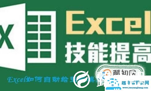 Excel如何自动给整行填充颜色？