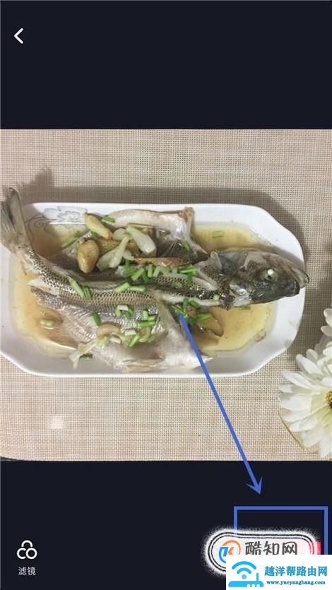 抖音怎么用图片做视频