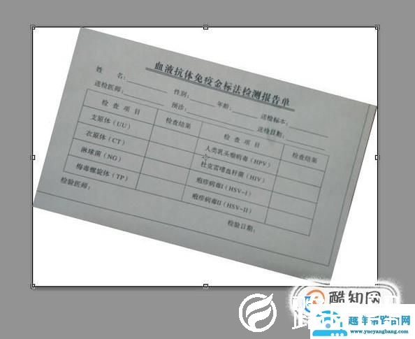 怎么用PS调正扫描斜了的图片，超简单3步搞定