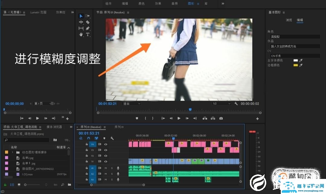 使用premiere时，怎么样把视频的原字幕去除？
