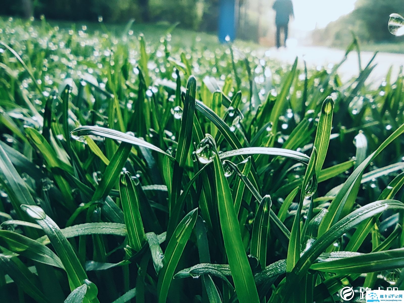 miui12拍照全新体验评测