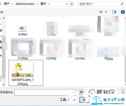 把图片插入到EXCEL的单元格中如何操作