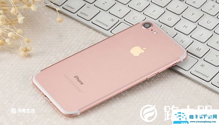 苹果1660什么型号